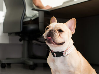 Telework or Teamwork?