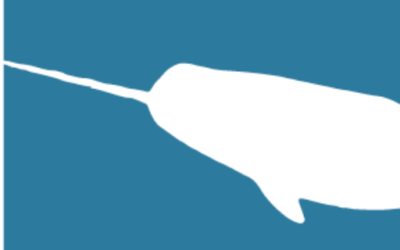 The Narwhal List 2017
