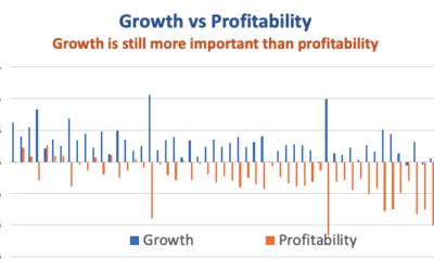 Growth vs Profit